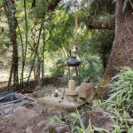 Best Yoga Resort Rishikesh India