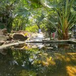 Best Yoga Resort Rishikesh India