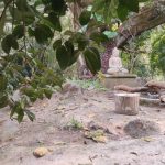 Best Yoga Resort Rishikesh India