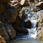 Yoga Retreat Training India