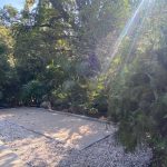 Yoga Accommodation - Yoga Retreat India