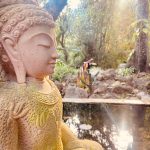 Yoga Accommodation - Yoga Retreat India